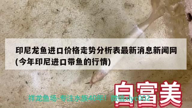 印尼龙鱼进口价格走势分析表最新消息新闻网(今年印尼进口带鱼的行情)