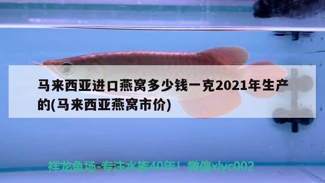 马来西亚进口燕窝多少钱一克2021年生产的(马来西亚燕窝市价) 马来西亚燕窝