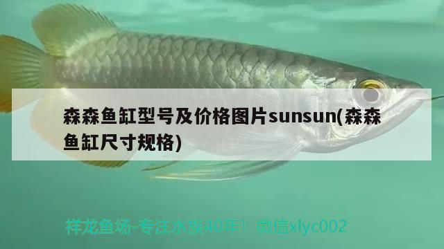 森森鱼缸型号及价格图片sunsun(森森鱼缸尺寸规格) 泰国雪鲫鱼