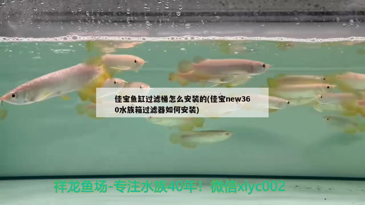 佳宝鱼缸过滤桶怎么安装的(佳宝new360水族箱过滤器如何安装) 鱼缸/水族箱