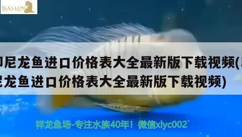 印尼龙鱼进口价格表大全最新版下载视频(印尼龙鱼进口价格表大全最新版下载视频)