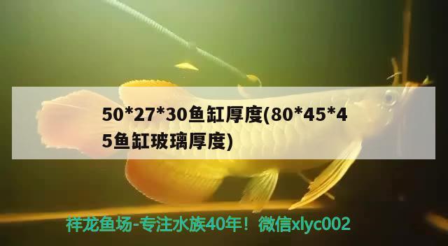 502730鱼缸厚度(804545鱼缸玻璃厚度) 金老虎鱼