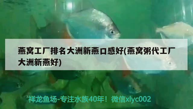 燕窝工厂排名大洲新燕口感好(燕窝粥代工厂大洲新燕好) 马来西亚燕窝