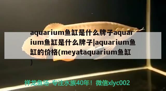 aquarium鱼缸是什么牌子aquarium鱼缸是什么牌子aquarium鱼缸的价格(meyataquarium鱼缸) 帝王迷宫