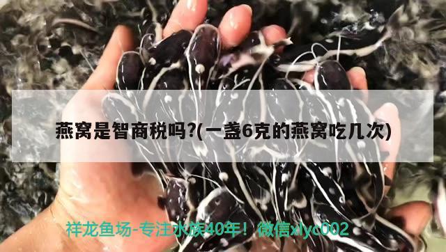 燕窝是智商税吗?(一盏6克的燕窝吃几次) 马来西亚燕窝