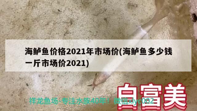 海鲈鱼价格2021年市场价(海鲈鱼多少钱一斤市场价2021) 鱼缸水泵