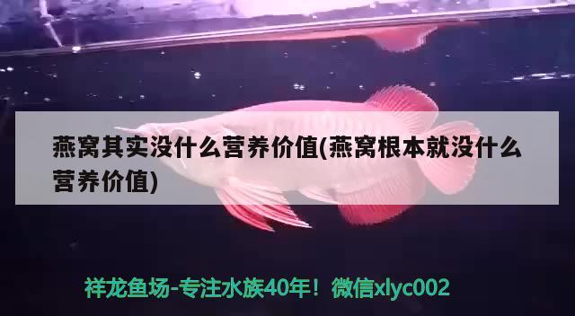 燕窝其实没什么营养价值(燕窝根本就没什么营养价值) 马来西亚燕窝