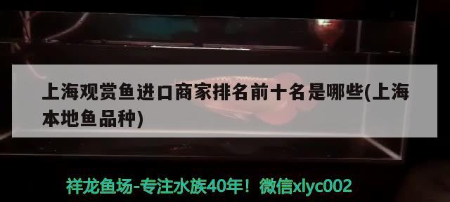 上海观赏鱼进口商家排名前十名是哪些(上海本地鱼品种) 观赏鱼进出口