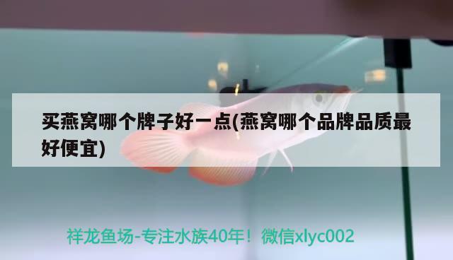 买燕窝哪个牌子好一点(燕窝哪个品牌品质最好便宜) 马来西亚燕窝