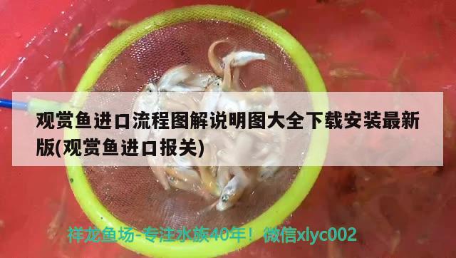 观赏鱼进口流程图解说明图大全下载安装最新版(观赏鱼进口报关) 观赏鱼进出口