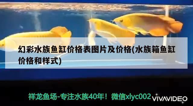 幻彩水族鱼缸价格表图片及价格(水族箱鱼缸价格和样式) 鱼缸/水族箱