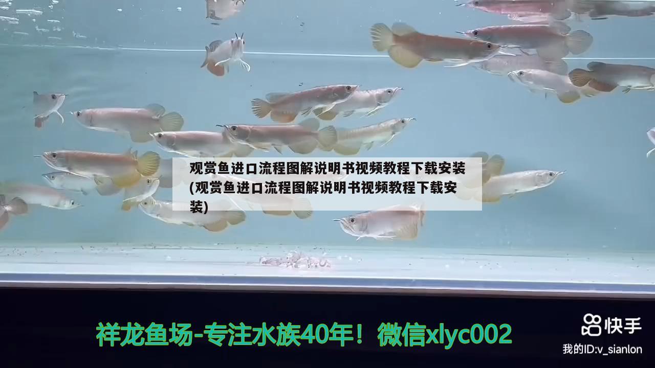 观赏鱼进口流程图解说明书视频教程下载安装(观赏鱼进口流程图解说明书视频教程下载安装) 观赏鱼进出口