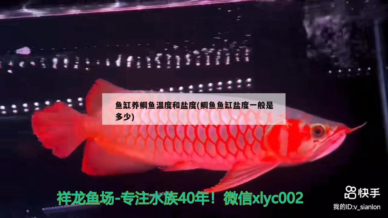 鱼缸养鲷鱼温度和盐度(鲷鱼鱼缸盐度一般是多少) 水族维护服务（上门）