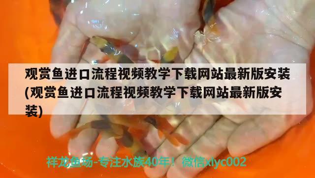 观赏鱼进口流程视频教学下载网站最新版安装(观赏鱼进口流程视频教学下载网站最新版安装) 观赏鱼进出口