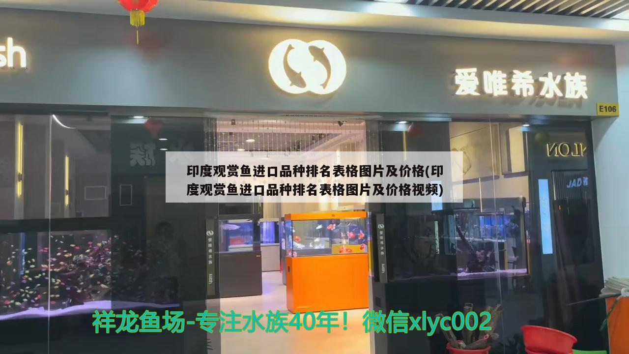 印度观赏鱼进口品种排名表格图片及价格(印度观赏鱼进口品种排名表格图片及价格视频)