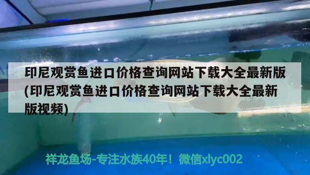 印尼观赏鱼进口价格查询网站下载大全最新版(印尼观赏鱼进口价格查询网站下载大全最新版视频)