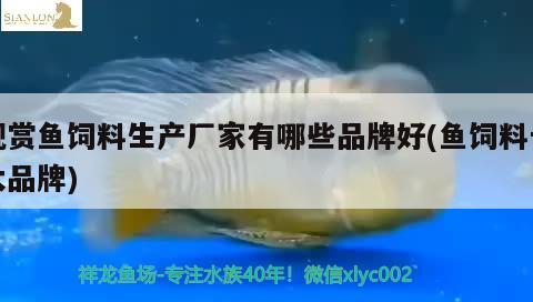 观赏鱼饲料生产厂家有哪些品牌好(鱼饲料十大品牌) 委内瑞拉奥里诺三间鱼