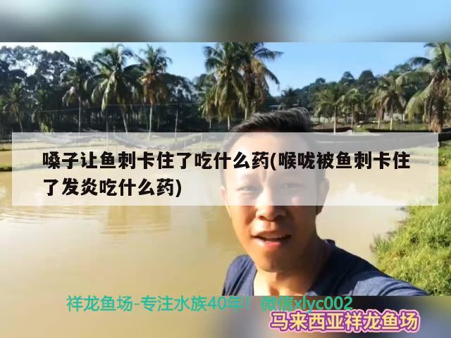 嗓子让鱼刺卡住了吃什么药(喉咙被鱼刺卡住了发炎吃什么药) 鱼缸水泵