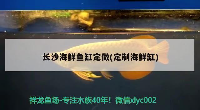 长沙海鲜鱼缸定做(定制海鲜缸) 细线银版鱼