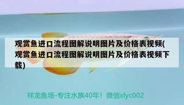 观赏鱼进口流程图解说明图片及价格表视频(观赏鱼进口流程图解说明图片及价格表视频下载)