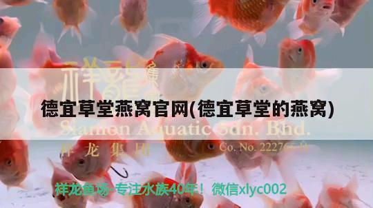 德宜草堂燕窝官网(德宜草堂的燕窝) 马来西亚燕窝