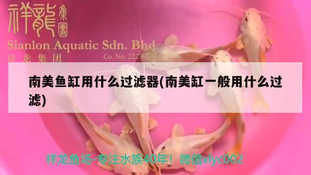 南美鱼缸用什么过滤器(南美缸一般用什么过滤) 广州水族器材滤材批发市场