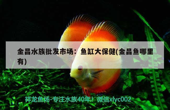 金昌水族批发市场：鱼缸大保健(金昌鱼哪里有) 观赏鱼水族批发市场