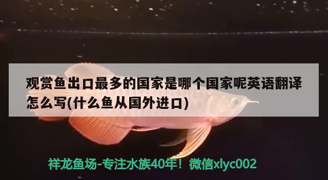 观赏鱼出口最多的国家是哪个国家呢英语翻译怎么写(什么鱼从国外进口)