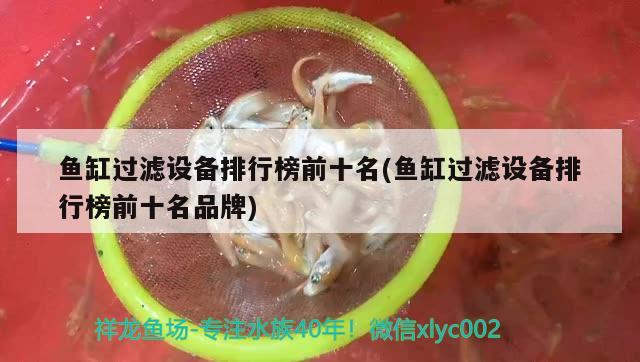 鱼缸过滤设备排行榜前十名(鱼缸过滤设备排行榜前十名品牌) 过滤设备