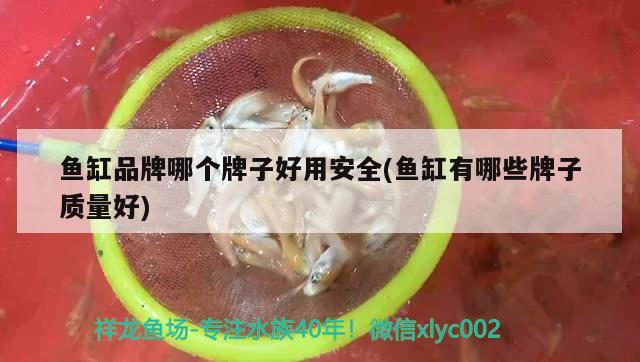 鱼缸品牌哪个牌子好用安全(鱼缸有哪些牌子质量好) 观赏鱼批发