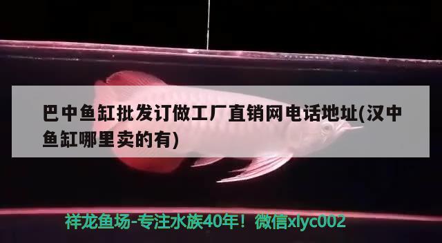 巴中鱼缸批发订做工厂直销网电话地址(汉中鱼缸哪里卖的有) 白子银龙鱼苗