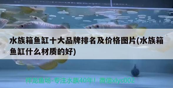 水族箱鱼缸十大品牌排名及价格图片(水族箱鱼缸什么材质的好)