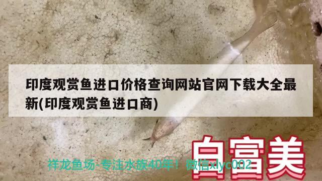 印度观赏鱼进口价格查询网站官网下载大全最新(印度观赏鱼进口商) 观赏鱼进出口