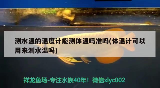 测水温的温度计能测体温吗准吗(体温计可以用来测水温吗) 其他益生菌