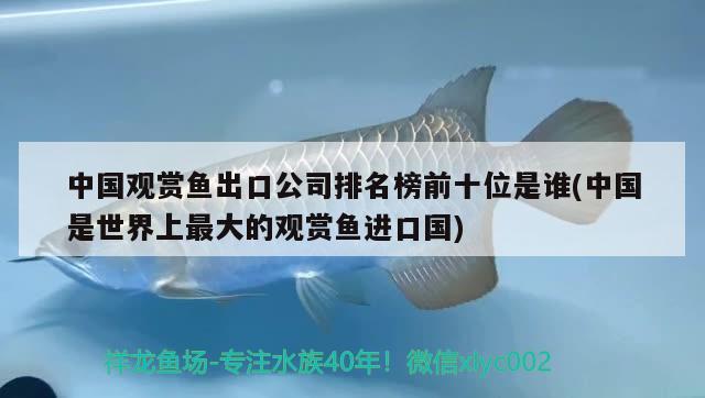 中国观赏鱼出口公司排名榜前十位是谁(中国是世界上最大的观赏鱼进口国) 观赏鱼进出口