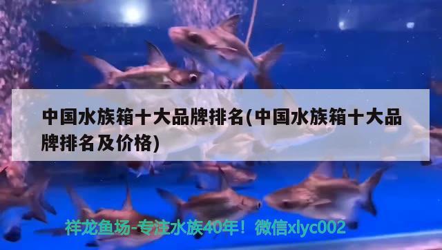 中国水族箱十大品牌排名(中国水族箱十大品牌排名及价格) 鱼缸/水族箱