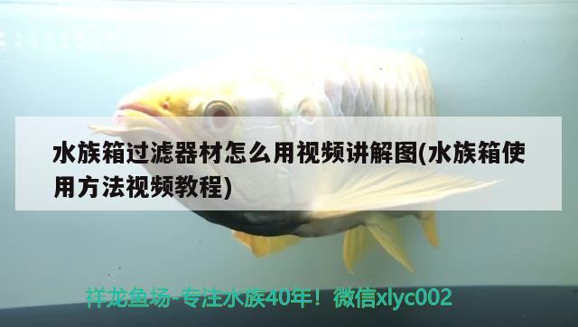 水族箱过滤器材怎么用视频讲解图(水族箱使用方法视频教程) 鱼缸/水族箱