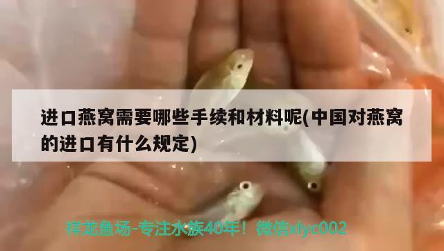 进口燕窝需要哪些手续和材料呢(中国对燕窝的进口有什么规定) 马来西亚燕窝