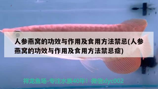 人参燕窝的功效与作用及食用方法禁忌(人参燕窝的功效与作用及食用方法禁忌症) 马来西亚燕窝