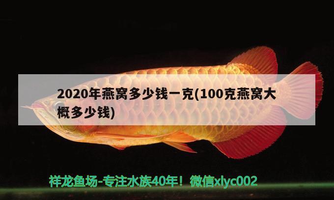 2020年燕窝多少钱一克(100克燕窝大概多少钱)