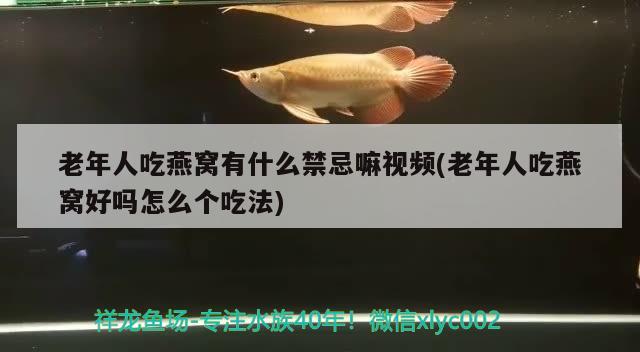 老年人吃燕窝有什么禁忌嘛视频(老年人吃燕窝好吗怎么个吃法)