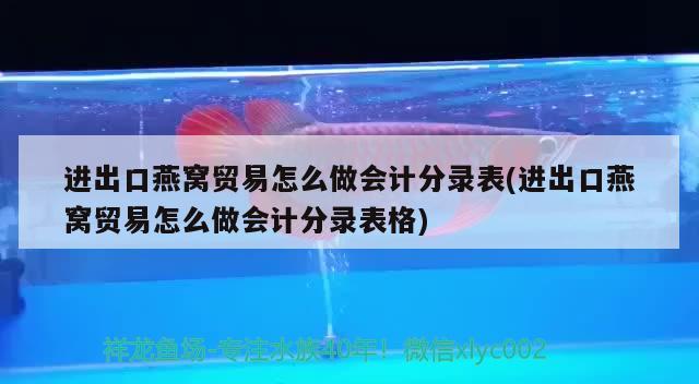 进出口燕窝贸易怎么做会计分录表(进出口燕窝贸易怎么做会计分录表格)