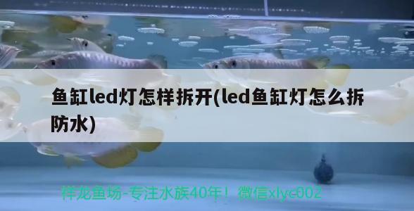 鱼缸led灯怎样拆开(led鱼缸灯怎么拆防水)