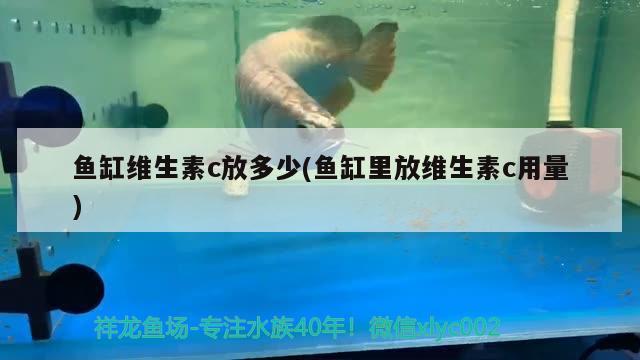 鱼缸维生素c放多少(鱼缸里放维生素c用量)