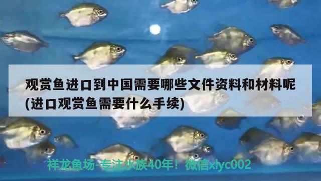 观赏鱼进口到中国需要哪些文件资料和材料呢(进口观赏鱼需要什么手续) 观赏鱼进出口