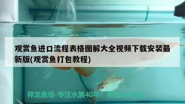 观赏鱼进口流程表格图解大全视频下载安装最新版(观赏鱼打包教程) 观赏鱼进出口