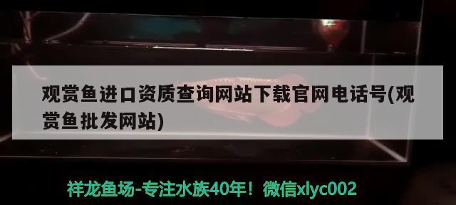 观赏鱼进口资质查询网站下载官网电话号(观赏鱼批发网站) 观赏鱼进出口