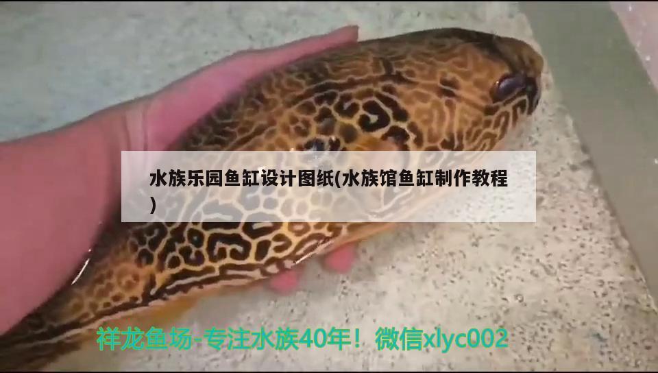 水族乐园鱼缸设计图纸(水族馆鱼缸制作教程)