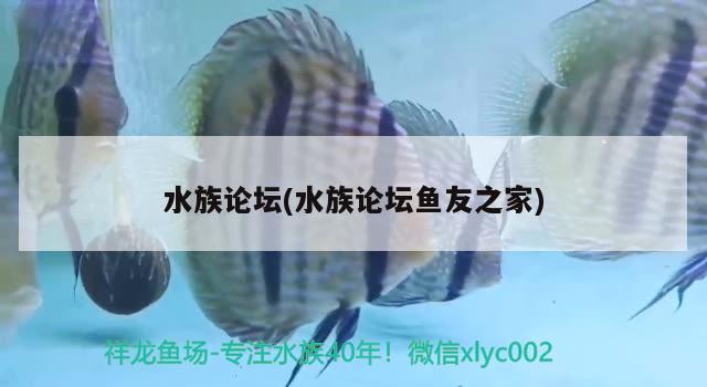 水族论坛(水族论坛鱼友之家) 鱼缸风水