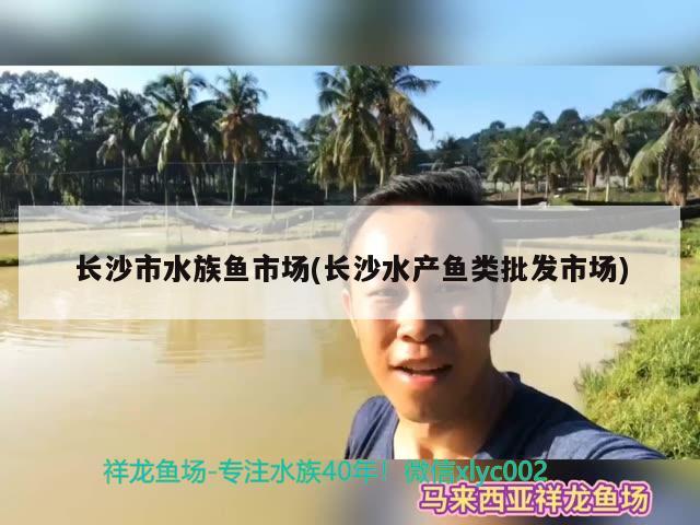 长沙市水族鱼市场(长沙水产鱼类批发市场)